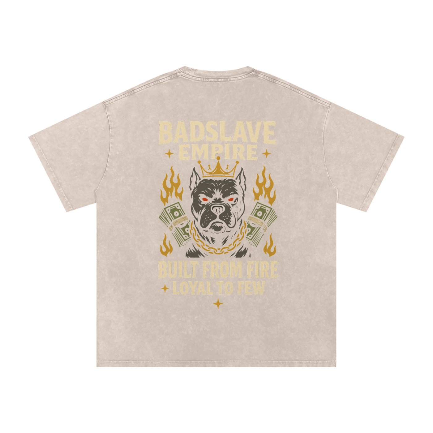 Snow Washed Oversized Cotton T-Shirt