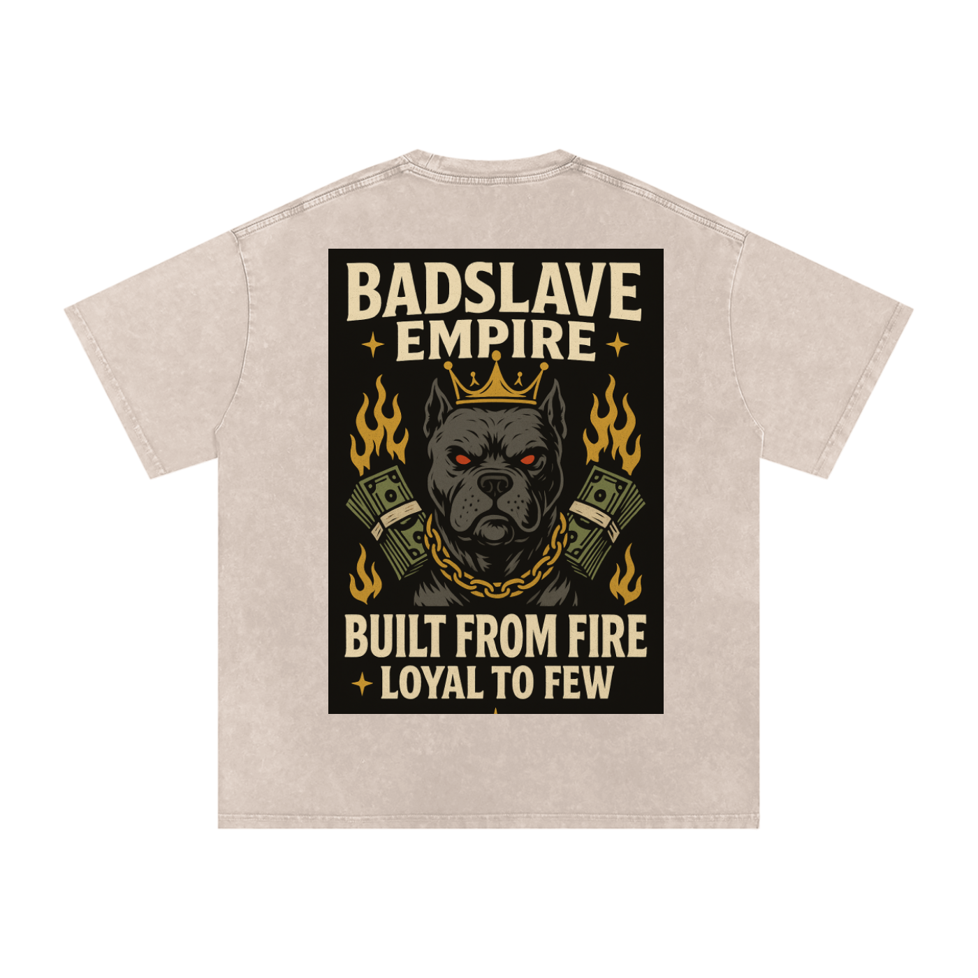 Snow Washed Oversized Cotton T-Shirt